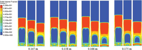 Figure 13. Solid volume fraction contour on each particle size of 360 µm, 450 µm, 570 µm at 0.25 s