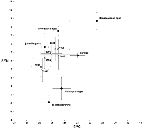 Figure 3. Mean (±SD) stable isotope ratios of Arctic fox winter hair (open circles) and prey samples (filled diamonds) in northern Manitoba. Fox hair values were corrected for trophic discrimination (Lecomte et al. Citation2011). Samples from 1994–97 (Roth Citation2002) were adjusted for the temporal change in atmospheric carbon to reflect projected values in 2010 (Long et al. Citation2005).