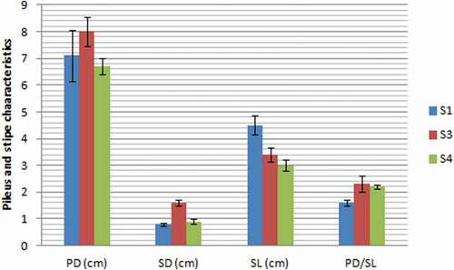 Figure 1. Pileus and stipe characteristics of mushrooms grown on different substrates (Values are means ± SD; for each indicator, means followed by the same letter are not statistically significant at p < .05 according to Duncan’s multiple range test; S1: 100%WS, S3: 67%WS+33%SCG, S4: 33%WS+67%SCG, SD: stipe diameter, PD: pileus diameter, SL: stipe length, WS: wheat straw, SCG: spent coffee grounds).Figura 1. Características del pilo y del estipe de los champiñones cultivados en diferentes sustratos (los valores son medias ± DE; para cada indicador, las medias seguidas de la misma letra no son estadísticamente significativas a p < .05, según la prueba de rango múltiple de Duncan; S1: 100%WS, S3: 67%WS+33%SCG, S4: 33%WS+67%SCG, SD: diámetro del estipe, PD: diámetro del pilo, SL: longitud del estipe, WS: paja de trigo, SCG: desechos de café molido)