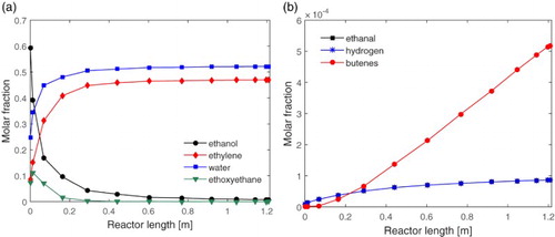 Figure 3. Stationary profiles of the molar fractions along the reactor for: (a) ethanol, ethylene, water, ethoxyethane and (b) ethanal, hydrogen, butenes.