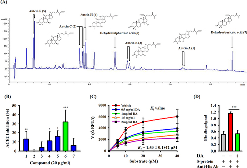 Figure 3 Effects of pure AC compounds on ACE2 protease activity. (A) HPLC analysis of the triterpenoid profiles of AC. (B) Effects of pure AC compounds on ACE2 protease activity. (C) Michaelis‒Menten plots of ACE2 protease activities are shown for different concentrations of DA to determine the inhibitory constant (Ki) using GraphPad Prism software. (D) Effect of DA on the binding between the SARS-CoV-2 spike protein and CL1-5 cells. The ACE2 inhibition data and binding assay are expressed as the means ± SDs of the three separate experiments. *, ** and *** indicate significant differences at levels of p<0.05, p<0.01 and p<0.001, respectively, compared to control cells or as indicated.