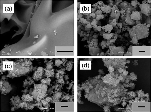 Figure 4. SEM micrographs of porous γ-Al2O3 samples prepared by (a) solution combustion, (b) solution combustion after 10 hr of ball-milling, (c) γ-Al2O3/Ni, and (d) γ-Al2O3/Fe after 7.5 hr of ball-milling.