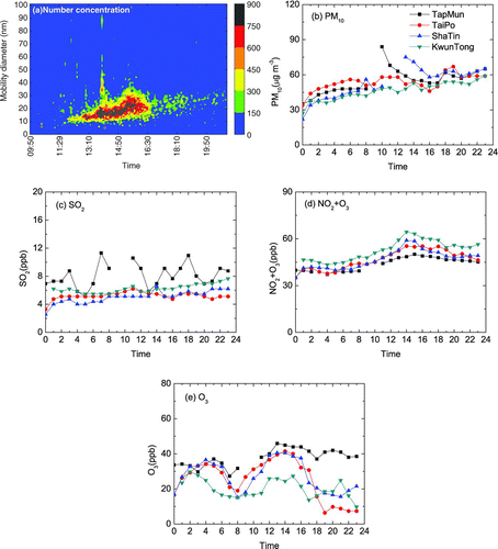 FIG. 4 (a–e) Concentrations of particle and gases on 21 January 2004.