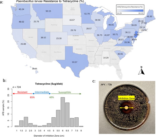 Figure 3. Overall average state resistance of AFB to tetracycline (a). Categorization of the cultured AFB samples (%) by expressed inhibition zones (cm) for tetracycline (b). Graphic display of P. larvae’s colonies cultured in a Petri dish with the inhibition zone caused by tetracycline (c). Medium was subsequently stained with Iodine Tincture for better visualization.