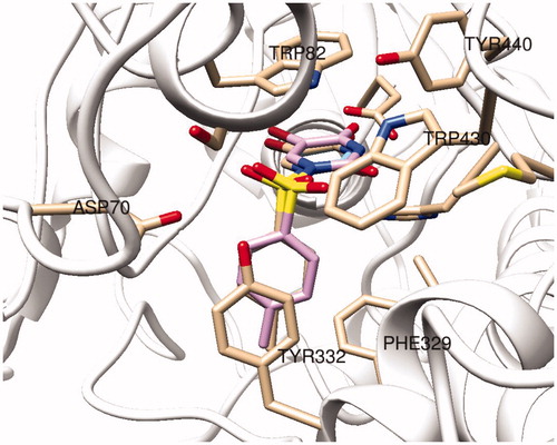 Figure 3. Superposition of top-docking poses of compound 4 at BuChE binding site, generated by Glide/SP (wheat), Glide/XP (blue), and GoldScore (pink).