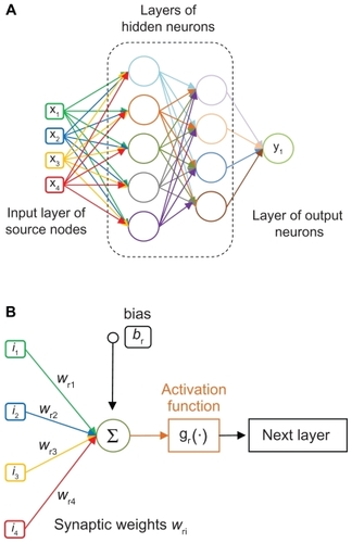 Figure 2 (A) Fully connected neural network with two hidden layers. (B) Typical scheme of a neuron and its activity: gr(∑iwriii+br).