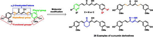 Scheme 1. Designed strategies for the synthesis of curcumin analogues.