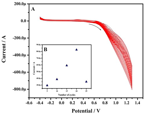 Figure 1. (a) Tentative CVs for the preparation of poly(nigrosine)/CPE. The electrolytic cell contains 1 mM poly(nigrosine) in 0.1 M NaOH at 20 multiple cycles with scan rate of 0.05 Vs−1. (b) Relationship between anodic peak current and total of polymerisation cycles.