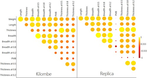 Figure 7. Visualisation of the correlation matrix for Kilombe (left) and modern (right) handaxe variables. Strength of colour and size depict correlation strength. Brighter (more yellow) colouration, along with greater size, indicates a stronger positive correlation.