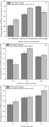 Figure 5. Biodegradation of crude oil by sodium alginate–attapulgite immobilized cells and sodium alginate–attapulgite–calcium carbonate immobilized cells.