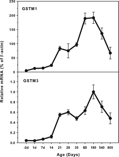 Figure 2. Age-related expression of GSTM1and GSTM3 in livers of rats. Livers from male SD rats at the fetus (−2 d before birth), the neonatal stage (1, 7, 14 and 21 d after birth), at puberty (28 and 35 d), at adult (60 and 180 d), and at aging (540 and 800 d), were collected to extract RNA. Expression of GSTM1 and GSTM3 was determined by real-time RT-PCR (n = 6 for each time point).