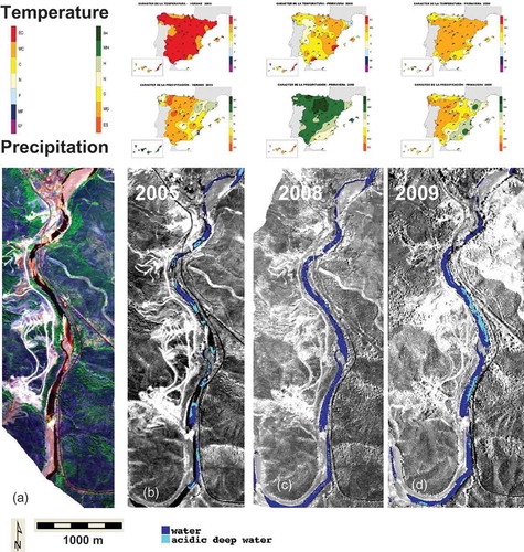 Fig. 6 The mine site along the river. Top row: Temperature and second row: precipitation. Seasonal (summer) maps for corresponding year of flights (AEMET):.(a) false colour composite image with HyMap channels 16 (0.6755 µm), 26 (0.8188 µm) and 108 (2.1917 µm). Mineworks are enhanced in light colour on the western bank of the river. (b)–(d) Maps of acidic deep water built from HyMap data on 17 June 2005, 1 August 2008, and 13 August 2009, respectively. See Fig. 4 for explanation of colours and maps.