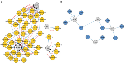 Figure 8. Expression level of key genes (IL-6, PTGS2, STAT3, and VEGFA) in the testing set and verification set. (a-b) the expression levels of key genes were verified in GSE25401 dataset (testing set) (a) and GSE2508 dataset (verification set) (b). (c) methylation level of key genes (IL-6, PTGS2, STAT3, and VEGFA) between obesity and normal samples analyzed by DiseaseMeth 2.0. *, P < 0.05; **, P < 0.01; ***, P < 0.001. IL, interleukin.