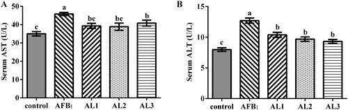 Figure 1. Effects of lycopene on serum aspartate aminotransferase (AST) (A) and alanine aminotransferase (ALT) (B) in AFB1-exposed broiler chickens. Data are represented as mean ± SEM. Different letters above bars are significantly different (P < .05). AFB1, aflatoxin B1; Control, basal diet; AFB1, basal diet with 100 μg/kg AFB1; AL1, basal diet with 100 μg/kg AFB1 and 100 mg/kg lycopene; AL2, basal diet with 100 μg/kg AFB1 and 200 mg/kg lycopene; AL3, basal diet with 100 μg/kg AFB1 and 400 mg/kg lycopene.