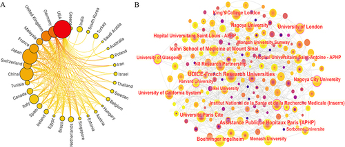 Figure 3 (A) Cooperation network of prolific countries/regions. (B) Visualization map of institutions’ cooperative relations.