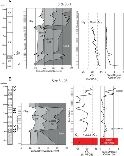 FIGURE 6. Grain-size, total organic carbon and carbon isotope profiles for the lower  6 meters of core SL-1 and SL-2B. A, core SL-1 (Southeast Bank); B, core SL-2B (Northwest Bank). Lower zone of core SL-2B inferred to correlate with sloth-bearing deposits in the creek bed is highlighted in red. The buried soil (2AC1b, 2AC2b) located at 9 meters depth is inferred to correlate with the buried soil (3AC1b, 3AC2b) between 6- and 7-meters depth in core SL-2b.