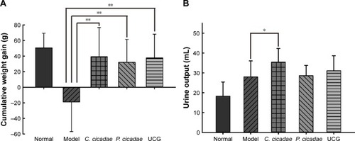 Figure 2 (A, B) Effects of C. cicadae, P. cicadae, and UCG treatments for 4 weeks on rat cumulative body weight gain and urine output.