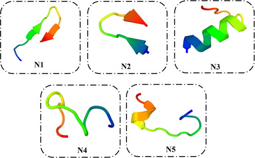 Figure 1. PEP FOLD-3 predicted 3D structures of nectin-1 derived peptides targeting HSV-gD protein. Peptide structures are presented in cartoon styles with a rainbow color scheme. The color changes from the Nter (dark blue) up to the Cter residue (red-orange).