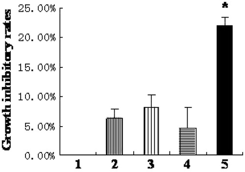 Figure 2. Silencing HIF-1α gene aggravates cell growth inhibition. (1) normoxia group; (2) hypoxia-like group; (3) transfection reagent group; (4) negative control group; (5) HIF-1α siRNA group. The growth inhibitory rate of HK-2 cells in HIF-1α siRNA group increased significantly compared to those in hypoxia-like group, transfection reagent group, and negative control group (*p < .05). Results (means ± SD) are from 6 sets of experiments.