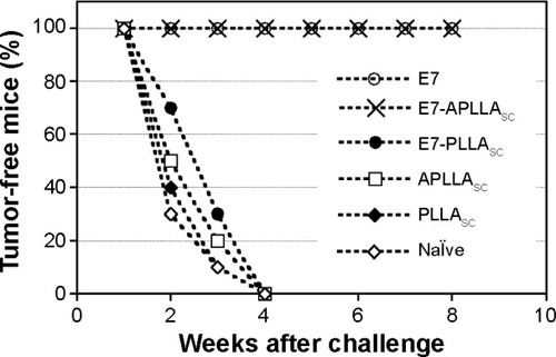 Figure 7 Tumor protection experiment.Notes: Mice naïve or vaccinated with three doses of free E7 (E7), E7-APLLAsc, E7-PLLAsc, APLLAsc and PLLAsc were challenged with 1×105 TC-1 tumor cells and tumor growth was monitored weekly. The x axis indicates weeks of monitoring after tumor challenge and the y axis indicates the percentages of animals without tumor.Abbreviations: E7-PLLAsc, E7-containing poly(l-lactide) single crystals; E7-APLLAsc, E7-containing amino-functionalized poly(l-lactide) single crystals.
