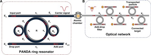 Figure 5 Proposed system for trapping and transporting gold nanoparticles to the required target. A shows trapping part, B shows transporting part.Abbreviations: RL, left-hand ring resonator; RR, right-hand ring resonator; R, add-drop filter.