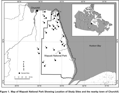 Figure 1. Map of Wapusk National Park Showing Location of Study Sites and the nearby town of Churchill.