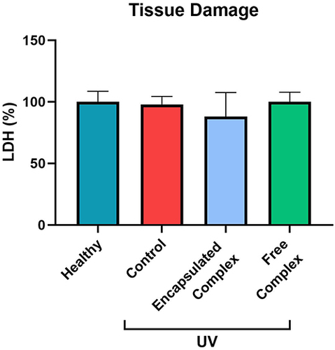 Figure 3 Tissue damage (LDH leakage) of non-irradiated hOSEC (Healthy), irradiated (UV Control) or irradiated and treated with either the free antioxidant complex or the encapsulated antioxidant complex.