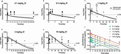 Figure 7. Comparison of observed and model-predicted Total TNF profiles (a−e) and serum drug concentrations (f) following a single IV administration of JNJ-8104 at 0.1, 0.3, 1, 3 and 10 mg/kg in normal human subjects. Symbols = Observed individual data; For A-E: Solid lines = Mean model prediction based on cyno PK/TE model parameters and allometric scaling for human PK; Dotted lines = Mean model prediction based on estimated JNJ-8104 human PK parameters from FIH data with cyno-based in vivo KD. The observed mean (SD) concentrations of Total TNF at week 2 trough following 40 mg q2 w SC doses of adalimumab are also shown in Figure 7c. In figure 7f, the colored lines represent the simulated human PK based on allometric scaling from cyno only.