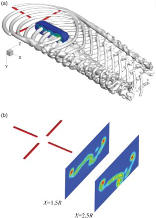 Figure 15. Predicted rotor-wake structure via the coupling method (7A rotor): (a) rotor-wake geometry and (b) vorticity contour slices.