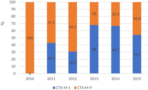 Figure 2 The distribution of ESBLs genes in ESBLs-producing Escherichia coli.