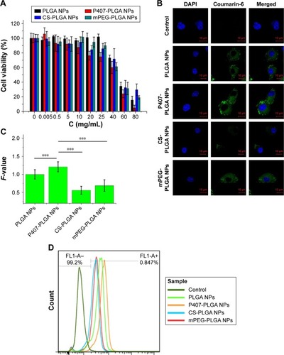 Figure 1 Cytotoxicity and cellular uptake of different surface-modified PLGA NPs in L929 cells.Notes: (A) Cytotoxicity of NPs after incubation for 24 h as determined by CCK-8 assay. Percent viability of cells was expressed relative to the control cells. Results are shown as mean ± SD (n=6). (B, C) Confocal fluorescent microscopy and semi-quantitative fluorescence analysis showing the cellular uptake of different surface-modified, coumarin-6-loaded NPs after coincubation for 1 h (***P<0.001). Scales in the figure represent 10 µm. F-value is the ratio of MFI in each cell of various PLGA NPs to that of unmodified PLGA NPs. Results are shown as mean ± SD (n=30). (D) Cellular uptake of surface-modified coumarin-6-loaded NPs after coincubation for 1 h detected by flow cytometry.Abbreviations: CCK-8, cell counting kit-8; CS, chitosan; DAPI, 4′,6-diamidino-2-phenylindole; MFI, mean fluorescence intensity; mPEG, methoxy poly(ethylene glycol); NPs, nanoparticles; P407, poloxamer 407; PLGA, poly(lactic/glycolic acid); SD, standard deviation; h, hour.