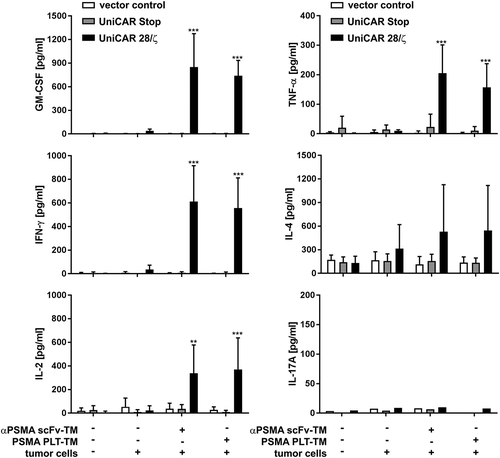 Figure 5. Analysis of cytokine release from redirected UniCAR T cells. Genetically engineered T cells (vector control, UniCAR Stop or UniCAR 28/ζ) were cultivated with or without PC3 cells (E:T = 5:1), either in the presence or in the absence of scFv-based αPSMA scFv-TM or PSMA PLT-TM. Data show concentrations of selected cytokines after 24 h and are reported as mean ± SD for four independent donors. (***p < .0002, **p < .002 with respect to UniCAR 28/ζ + tumor cells w/o TM; 2way ANOVA with Tukey’s multiple comparisons test).