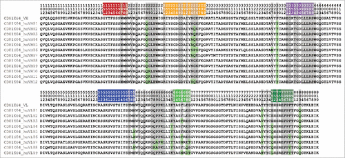 Figure 8. VH (top) and VL (bottom) sequences of CD81K04 and humanized sequence variants thereof. Framework and CDR classification follows WolfGuy nomenclature. CDR color coding follows IMGT/Collier-de-PerlesCitation23 conventions: CDR-H1 is colored red, CDR-H2 orange, CDR-H3 purple, CDR-L1 blue, CDR-L2 light green, and CDR-L3 dark green. Sequence positions that are part of the VH-VL orientation fingerprint are highlighted with a gray background. Sequence positions that are part of the VH-VL orientation fingerprint but deviate from the parental sequence are highlighted with a green background.