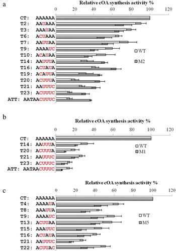Figure 3. Comparison of the relative cOA synthesis activity of wild type (WT, white bar) and Cmr3α mutants (grey bar) in the presence of different target RNAs. A: WT and M2; B: WT and M1; C: WT and M5. Only the results with significant differences are shown. Error bar represents SD of three independent experiments