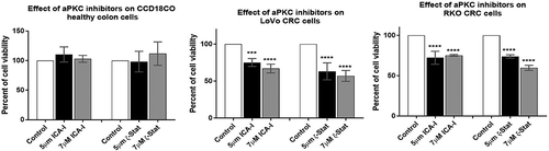 Figure 8. Effect of atypical PKC inhibitors on normal and malignant colorectal cells. CCD18CO, LoVo, and RKO cells (4 x103) were plated in 96 wells plate and treated with 5 μM and 7 μM of either ICA-I or ζ-Stat for 72 hours followed by incubation with a WST-1 reagent for 3 hours and determination of absorbance at 450 nm using microplate reader. The data represents N = at least 3 independent experiments, mean ± S.E.M. *** < 0.0009, and **** < 0.0001 (indicate p value).