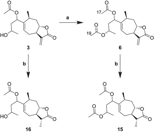 Scheme 2.  Synthesis of compounds 6, 15, and 16. Reagents: (a) AcCl, TEA, RT, 12%; (b) NaBH4, RT (16, 37%; 15, 98%).