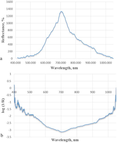 Figure 3. The average raw reflectance Vis/NIR spectra of A: Ashraf pomegranate fruit, and B: its absorbance spectrum.