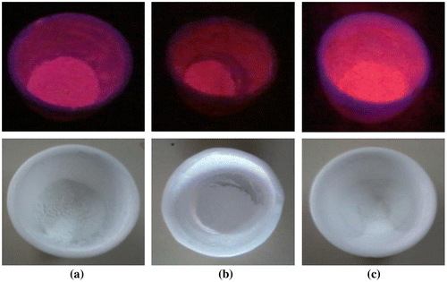 Figure 1. Photographs showing powders of europium (III) doped (a) Sr3SiO5, (b) Ca3SiO5, and (c) Mg3SiO5 silicates in the presence and absence of ultraviolet light.