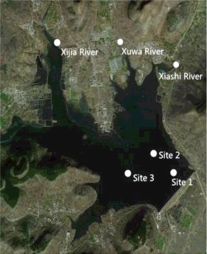 Figure 1. Sampling sites in the Zhoucun Reservoir and the inflow rivers.