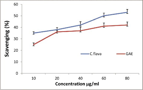 Figure 3. Hydroxyl radical scavenging activity of Caralluma flava ethanol extract and gallic acid.