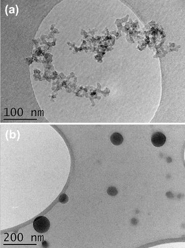 FIG. 4. TEM pictures of combustion particles generated under (a) C/O ratio = 0.22 and (b) C/O ratio = 0.6.