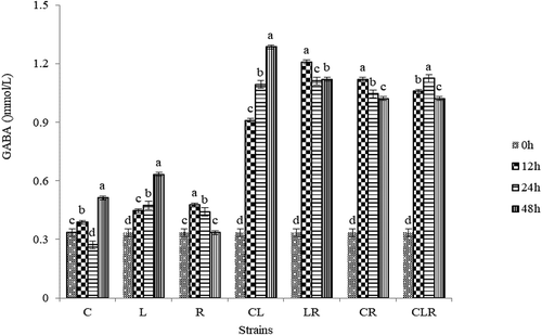 Figure 1. The changes of GABA contents in 48 h during single or mixed bacteria fermentation. C, L.plantarum C17; L, L.pentosus Lp-B; L.rhamnosus R11; CL, L.plantarum C17 and L.pentosus Lp-B; LR, L.pentosus Lp-B and L.rhamnosus R11; CR, L.plantarum C17 and L.rhamnosus R11; M, three LAB strains. Bars represent standard errors of the means (n = 3). The letters indicated the changes in GABA in the same strain at different fermentation times. Data points indicated with different letters are signiﬁcantly different from each other at p < 0.05.Figura 1. Cambios detectados en el contenido de GABA a lo largo de 48 horas durante la fermentación de bacterias simples o mixtas. C, L.plantarum C17; L, L.pentosus Lp-B; L.rhamnosus R11; CL, L.plantarum C17 y L.pentosus Lp-B; LR, L.pentosus Lp-B y L.rhamnosus R11; CR, L.plantarum C17 y L.rhamnosus R11; M, tres cepas LAB. Las barras representan errores estándar de las medias (n = 3). Las letras indican los cambios en GABA en la misma cepa en diferentes tiempos de fermentación. Los puntos de datos indicados con letras diferentes presentan diferencias significativas entre sí en p < 0.05.