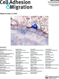 Cover image for Cell Adhesion & Migration, Volume 10, Issue 1-2, 2016