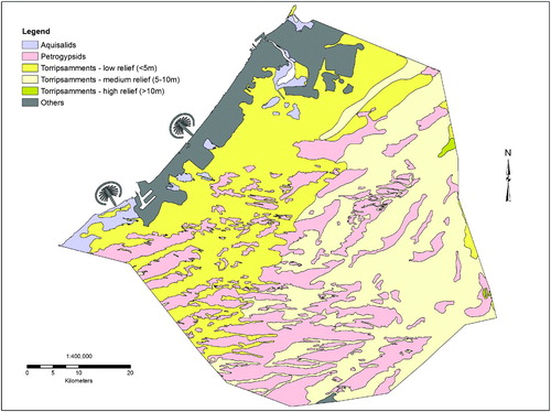 Figure 5. Dubai soil map with Torripsamments divided into 3 relief classes: low (<5 m), medium (5-10 m), and high (>10 m).