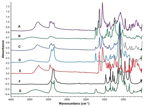Figure 8 (A–G) FT-IR spectra of the dried precipitate (from a dispersion in water and in buffer), and for comparison, the spectra of ABT-102 (crystalline) and the excipients. (A) (Violet): precipitate in water; (C) (blue): precipitate in buffer; (B) (green): PVP/VA 64; (D) (light blue): polysorbate 80; (E) (red): ABT-102; (F) (black): poloxamer 188; (G) (dark green): sucrose palmitate.