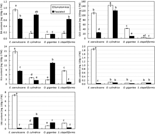 Figure 3. Contents of BA, Kin, IAA, GA3, and ABA in symptomless versus fasciated tissues of E. coerulescens, O. cylindrica, O. gigantea, and S. stapelliiformis. Values are means ± SE (n = 3). Different letters above bars indicate significant differences (P < 0.05) among means.