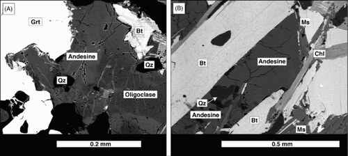 Figure 3 A, OU32550A: backscattered electron image shows plagioclase to commonly display a patchily developed andesine rim on an oligoclase core . B, OU32550B: andesine displays a sharp contact with biotite (Bt). Note that biotite has been partially replaced by white mica (Ms) and chlorite (Chl).