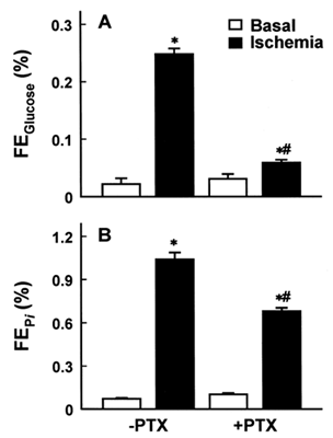 Figure 1. Effect of pentoxifylline (PTX) on fractional excretion of glucose (FEGlucose, A) and inorganic phosphate (FEPi, B) in rabbits with ischemic acute renal failure. Data are mean ± SEM of nine animals in each group. *p < 0.05 compared with the respective basal value; #p < 0.05 compared with ischemia alone.