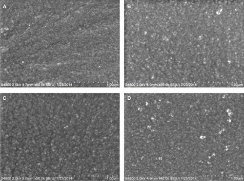 Figure 1 SEM micrographs of PDMS coated with different concentrations of PDMS–b–PEO. (A) PDMS–0% PEO, (B) PDMS–1% PEO, (C) PDMS–2.5% PEO, and (D) PDMS–5% PEO. Surface roughness appeared to increase with the sequential increase of PDMS–b–PEO concentrations.