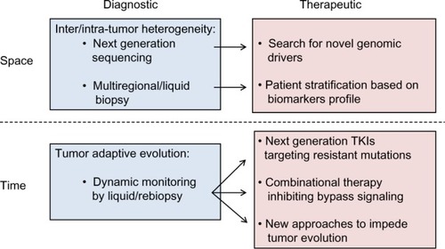 Figure 2 Schematic summary of measures to overcome tumor heterogeneity and drug resistance in lung cancer.